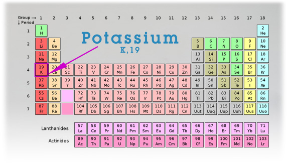 http://doctorannette.com/ERI_Product_Images/Potassium_table.jpg